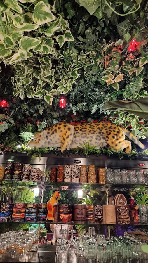 Photo du bar Le jungle bar