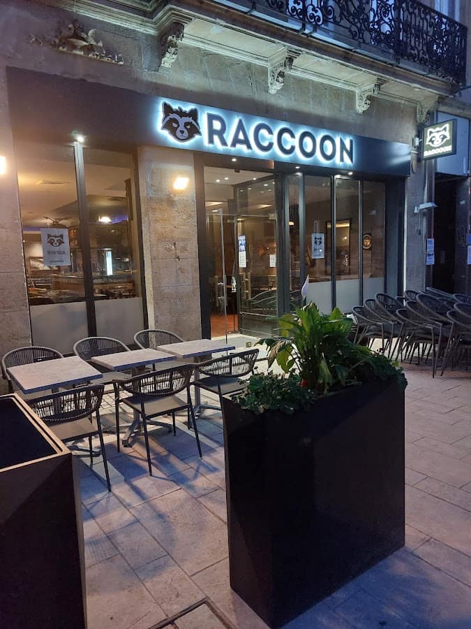 Photo du bar RACCOON
