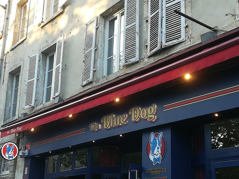 Photo du bar The Blue Dog