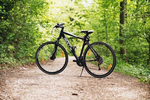 Vélo dans la forêt